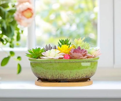 Succulent Pots, 1 Rectangle Planter + 1 Ceramic Bonsai Pots with Drain Tray - color: Green