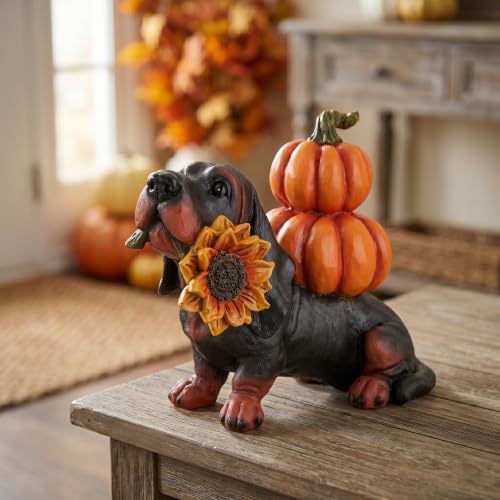 Fall Dachshund Pumpkin Dog Figurine Decor, Thanksgiving Dog Statue - color: Dachshund