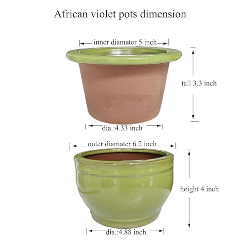African Violet Pots Self Watering Green 6 inch - color: Green