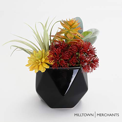Succulent Wall Planters - Wall Vases - White Ceramic Wall Mounted Planters - Succulent Plant Pots - Hanging Vases for Living Wall (2 Pack/Geometric/Black) - color: Large Black Geometric