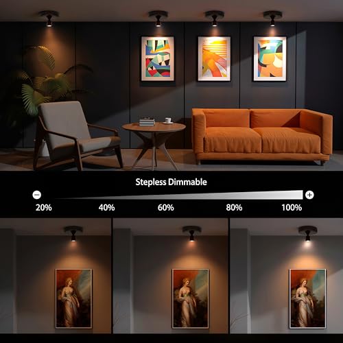 Mini Rechargeable LED Spotlight, spot Lights Indoor,Plant Light - color: Black