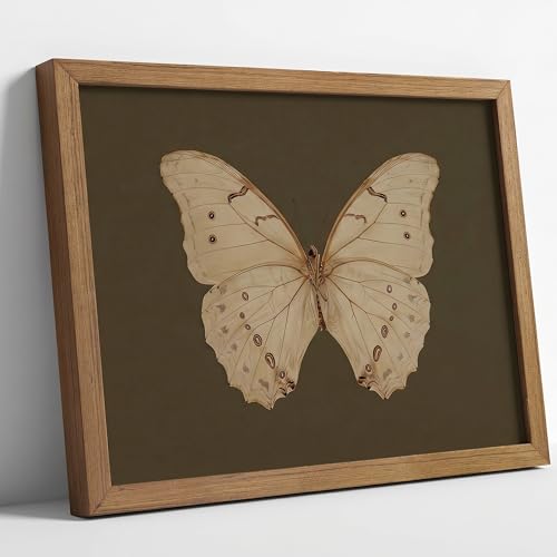DGBQMK Vintage Butterfly Wall Art, Rustic Insect Print Framed Canvas Poster, Dark Academia Room Decor, Solid Wood Frame, Ready to Hang for Living Room Bedroom Office 8x10 inch - color: butterfly, size: 10"Lx8"W
