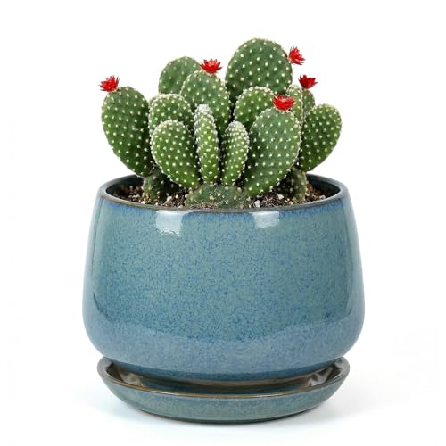 7.5 Inch Flower pots for Indoor Outdoor Plants with Saucer Drainage Leak-Proof Mesh, Ceramic Planter with Gardening Gloves for Succulent and Flower(Crackled Blue) - color: Crackled Blue, size: 7.5 Inch