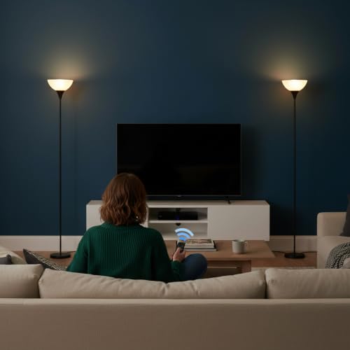 LALISU Floor Lamp, Standing Lamps with Glass Shade, Led Floor Lamp Remote - color: Black and Glass