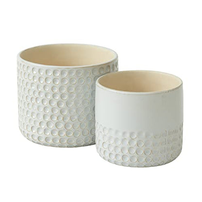 LA Jolie Muse Ceramic Plant Pots, Flower Pots for Indoor Plants, Set of 2 - color: Glacier Gray