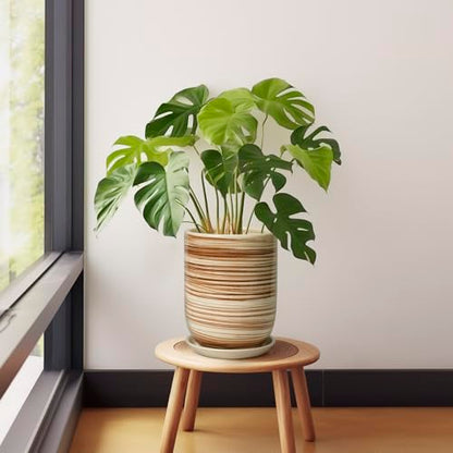 8 Inch Plant Pot, Ceramic Planter for Plants, Yellow - color: Yellow Stripes, size: 8 Inch