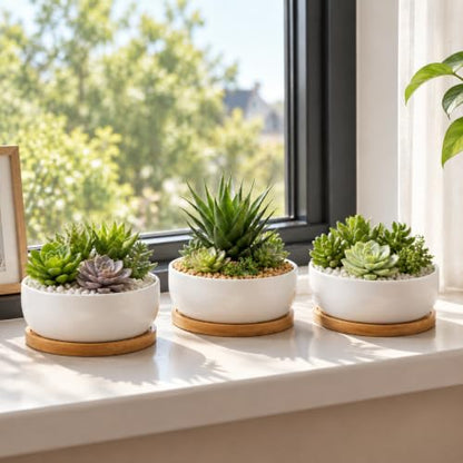 Lawei 3 Pack 6 Inch Round Ceramic Succulent Planter Pots with Drainage and Bamboo Trays, Shallow Cactus Plant Pots for Indoor Plants, Modern White Flower Bowl Planters for Desktop Window Decor