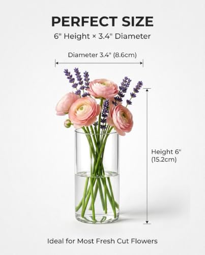 12Pcs Borosilicate Glass Vases for Centerpieces.