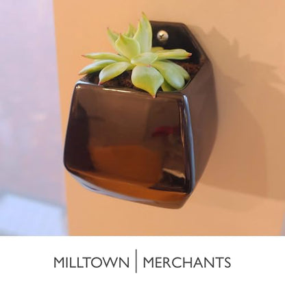 Succulent Wall Planters - Wall Vases - Black Ceramic Wall Mounted Planters - Succulent Plant Pots - Hanging Vases for Living Wall (2 Pack/Contemporary/Black) - color: Small Black Contemporary