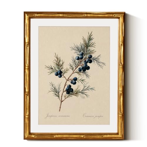 InSimSea Gold Bamboo Framed Christmas Wall Art, Retro Juniper Print,11x14In - color: Christmas Juniper