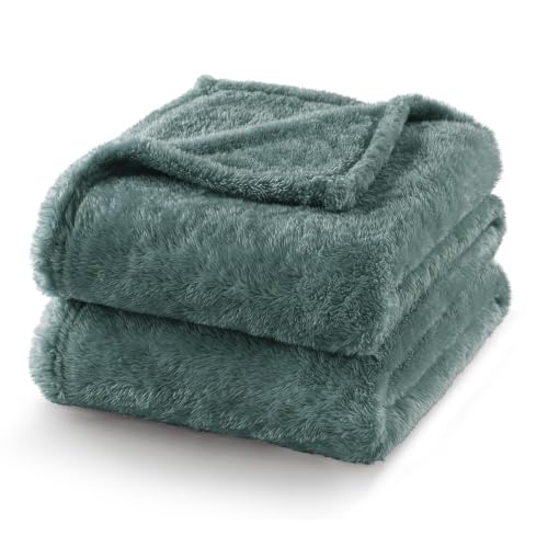 Exclusivo Mezcla Fuzzy Plush Fleece Bed Blanket Twin XL Size, Celadon - color: Celadon, size: 90x66 IN