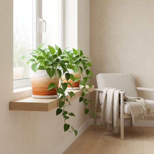 6 Inch Ceramic Plant Pot(6.7 in Diameter,2 Pack) - color: Khaki + White, size: 6.7 Inch-2 Pack