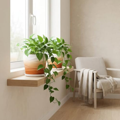 6 Inch Ceramic Plant Pot(6.7 in Diameter,2 Pack) - color: Khaki + White, size: 6.7 Inch-2 Pack