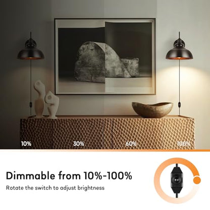 Lightess Plug in Wall Sconce with Dimmable Switch Black Barn Wall Lamp - color: Black with Plug-in Cord