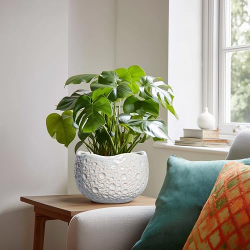 Ceramic Pots for Plants, 8 Inch Planters for Indoor Plants, Grey - color: Gray, size: 8.2 Inch