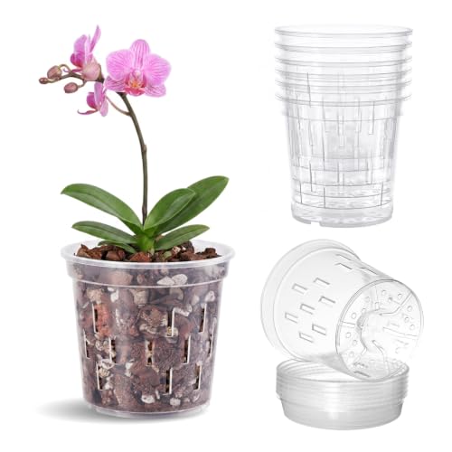 TRUEDAYS Orchid Pot with Saucers, 6 Pack 4 Inch Plant Pot with Drainage - size: 4Inch-6Pack with 6 Saucers