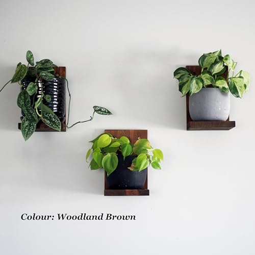 Daniel's Plants 3-Pack Mid-Century Modern L-Shaped Floating Shelves | Solid Wood Plant Wall Shelf Kit | Dusk Grey - color: Dusk Grey