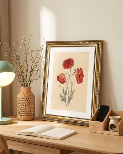 VIYYIEA Gold Framed Red Poppy Wall Art Floral Canvas Painting, 13×16 Inch - color: Red Poppy Wall Art, size: 16"L x 13"W