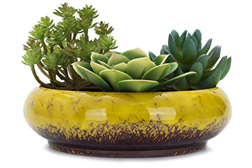 VanEnjoy 7.3 inch Round Large Shallow Succulent Ceramic Glazed Planter Pots with Drainage Hole, Bonsai Pots Garden Decorative Cactus Stand Flower Container (Yellow) - color: Yellow