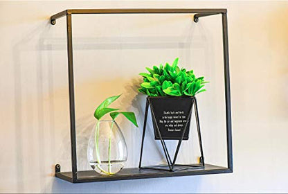 Kingbuy Egg Shaped for Propagating Hydroponic Plants 4 Pack Wall Planter - color: Ellipse Shape