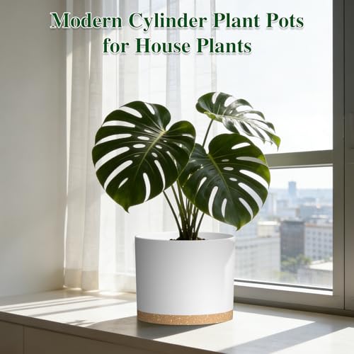 Plant Pots, 10/9/8 Inch 3 Pack Cylindrical Flower Pots with Drainage Holes and Saucers, Plastic Planters for Outdoor Indoor Plants,White Brown - color: White With Brown