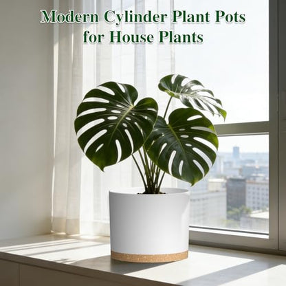 Plant Pots, 10/9/8 Inch 3 Pack Cylindrical Flower Pots with Drainage Holes and Saucers, Plastic Planters for Outdoor Indoor Plants,White Brown - color: White With Brown