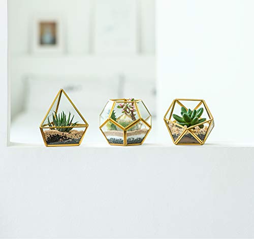 Mkono 3 Pack Fake Succulents in Geometric Glass Terrarium Gold Office Decor - color: Gold,green,clear