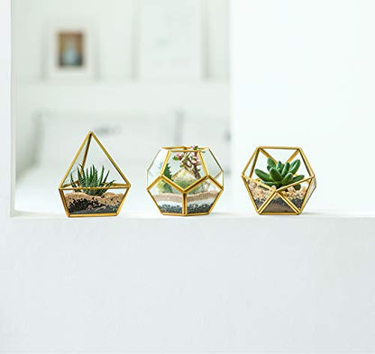 Mkono 3 Pack Fake Succulents in Geometric Glass Terrarium Gold Office Decor - color: Gold,green,clear