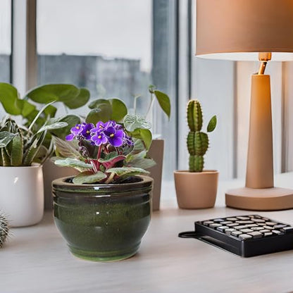 African Violet Self Watering Pots Olive drab 6 inch - color: Olive Drab