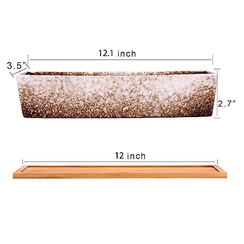 Succulent Pots - 12.1 Inch Large Succulent Planters Pots with Drainage Tray - color: White