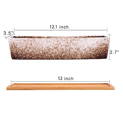 Succulent Pots - 12.1 Inch Large Succulent Planters Pots with Drainage Tray - color: White