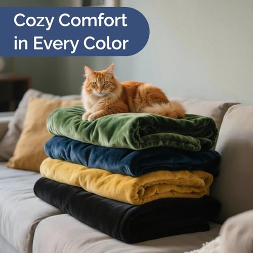 Fleece Blanket Throw- Ultra-Soft Flannel Fleece Blanket - Cream - color: 01 - Cream, size: Throw (50" x 60")