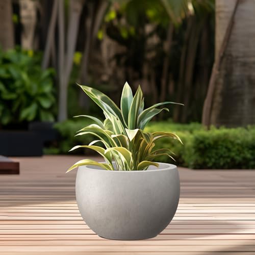 Kante Accent Round Bowl Weathered Concrete Planter 14.8" Dia, Outdoor - color: Weathered Concrete, size: 15.7" d