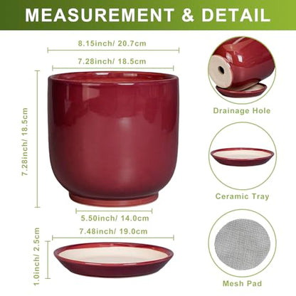 Ceramic Flower Pot for Plants, 8 Inch Plant Pot, Red - color: Red, size: 8 Inch