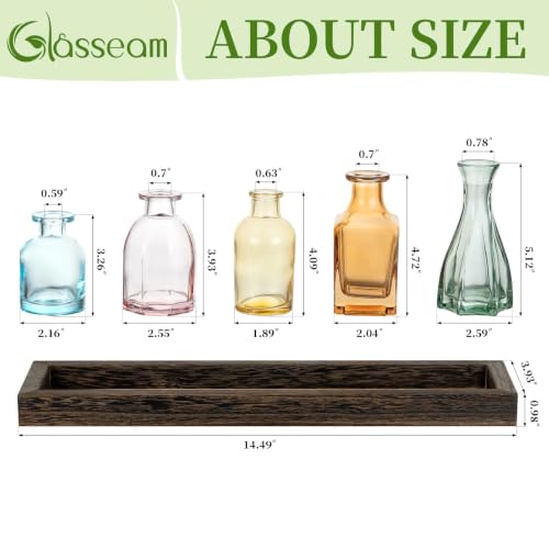 Glasseam Glass Bud Vase for Centerpiece: Small Flower Vases in Wooden Tray - color: Colorful-amber