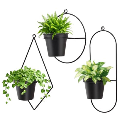 Geometric Wall Planters for Indoor Plants Set of 3 Black Metal Wall Mounted Plant Holder (Diamond & Oval & Round Shapes) with 5 Inch Flower Pots, Modern Hanging Planters for Indoor Decor