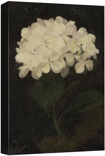 SIGNFORD Canvas Print Wall Art White Floral Bouquet Nature Wilderness Illustrations Floral Botanical Print Modern Art Decorative Multicolor Rustic Cozy for Bedroom - 12"x18" - color: Ab04-2312-yuk26, size: 12" x 18"
