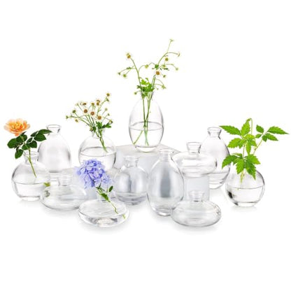 Glasseam Glass Bud Vase for Centerpieces: 12Pcs Clear Mini Small Vases Bulk - color: Clear, size: 4 Sets