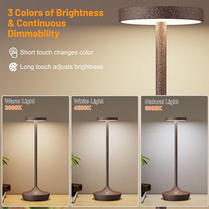 2 Pack Cordless Table Lamps, Rechargeable 6000mAh, 72H Runtime, Waterproof - color: Rust
