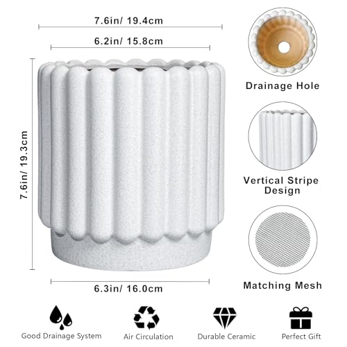 Ceramicfor Ceramic Planter, 7.6 Inch, White - color: Matte White, size: 7.6 Inch