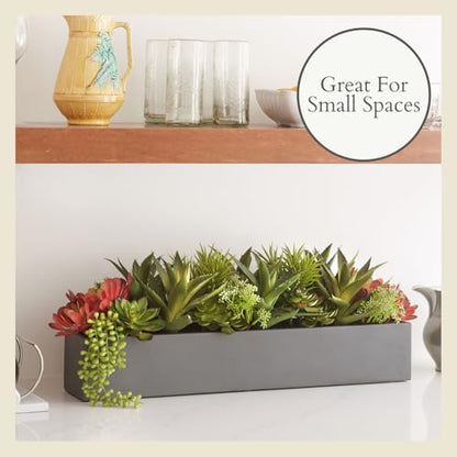 CG Hunter, Oblong Faux Succulent Arrangement, Grey, Home Decor - size: 27" Oblong Grey