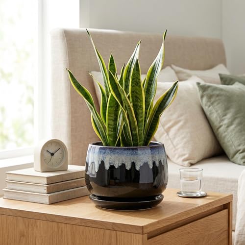 Ceramic Plant Pots 7 Inch, Ceramic Planter with Saucer, Black-Blue - size: 7 Inch, style: Black-blue