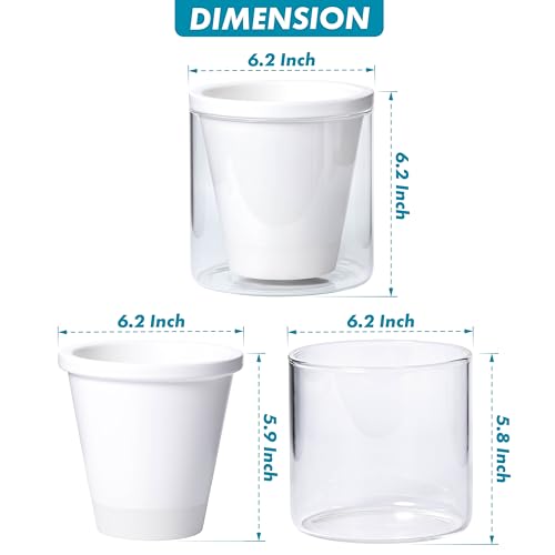 D'vine Dev Self-Watering White Terracotta Planter Pot, 6 in, 37-X-B-2 - color: White, size: 6 Inch