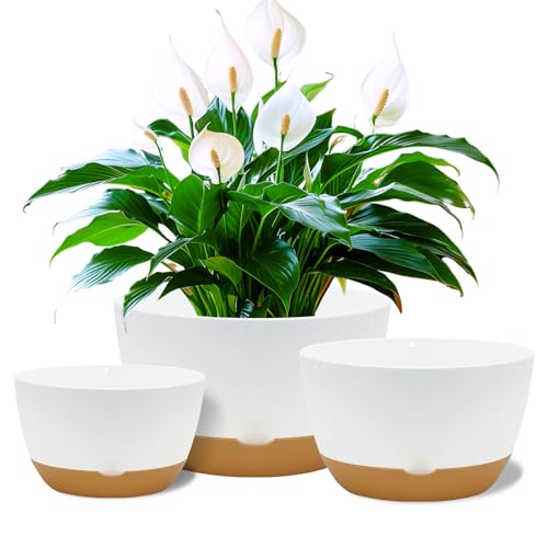 Koalaime 8/10/12 Inch Pots for Indoor Plants, Large Self Watering Planters with Drainage and Saucers, Plastic Outdoor Flower Pot, Set of 3, White - color: White