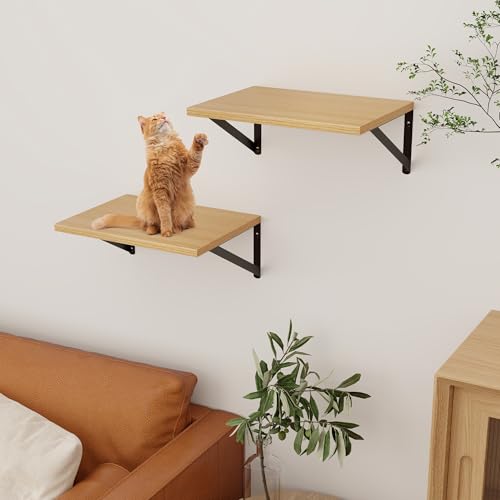 Axeman Deep Floating Shelves, 12 Inch Deep Rustic Oak Floating Wall Shelves Set of 2, 16W x 12D Large Floating Shelves Living Room Cleanning Room Laundry Room Garage - Oak with Black Brackets - color: Oak, size: 16W x 12D