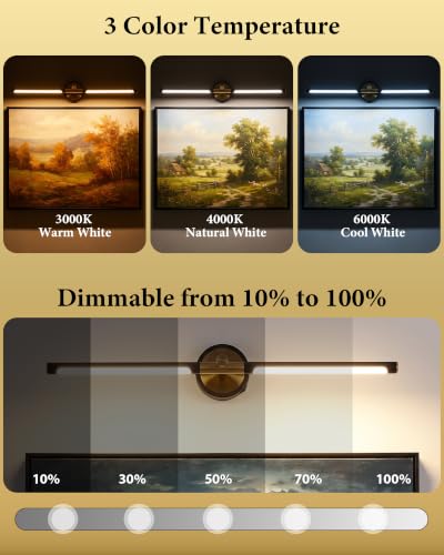 URSOLA 22" Picture Lights for Wall Battery Operated, Metal LED Art Light with Remote, 3CCT Dimmable Wireless Art Lighting for Paintings, Gallery Light, Over Picture Frame Light, Photo Lights for Wall.