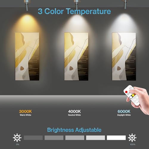 Olafus 2 Pack LED Wireless Spotlight Indoor with Timer/Remote, Black - color: Black