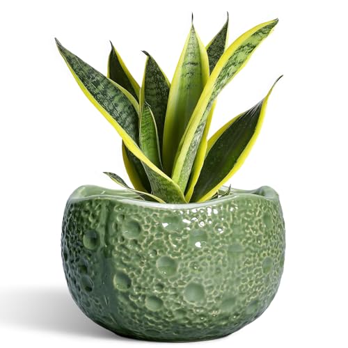 8 Inch Plant Pot - Ceramic Pots for Plants with Drainage Hole, Round Decorative Plant Pots for Indoor Outdoor, Modern Unique Flower Pot, Office Decor, Garden Gifts, Green - color: Green, size: 8.2 Inch