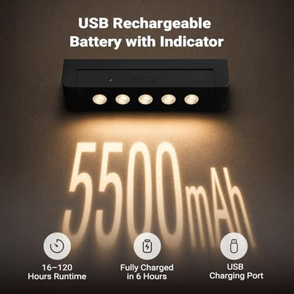 Rechargeable Indoor Spotlight, 5500mAh Battery Operated Picture Light with Daily Auto Timer, Wireless Art Light with Dimmable & 3CCT for Plant, Artwork, Gallery, Picture, Remote Control (2, Black)