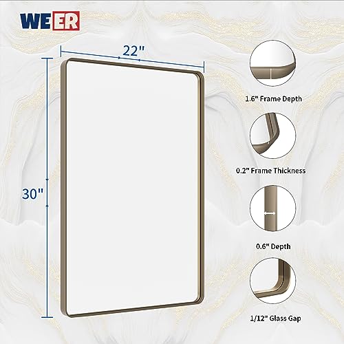 WEER Bathroom Vanity Mirror Bronze 22X30 Inch - color: Bronze, size: 22"L x 30"W